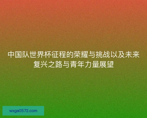 中国队世界杯征程的荣耀与挑战以及未来复兴之路与青年力量展望