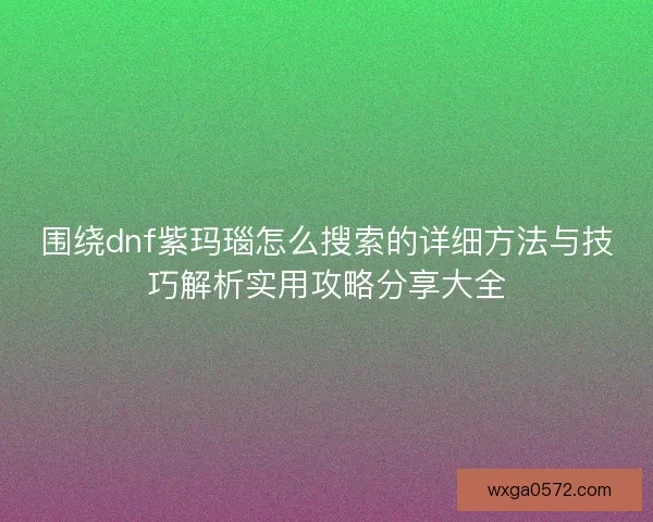 围绕dnf紫玛瑙怎么搜索的详细方法与技巧解析实用攻略分享大全